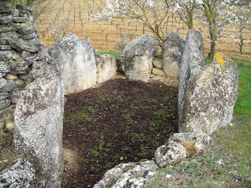 San Martín trikuharria