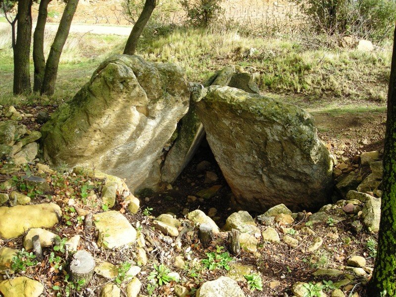 El Encinal trikuharria