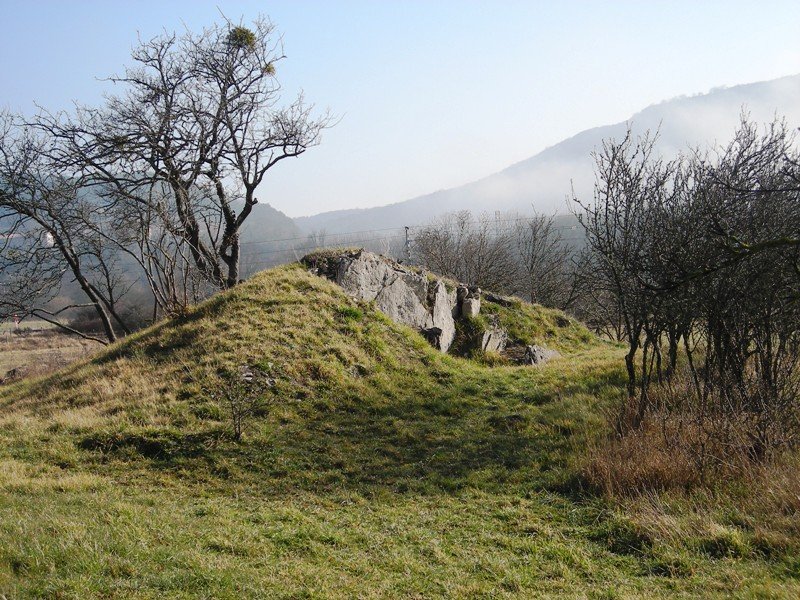 Gurpide hego trikuharria