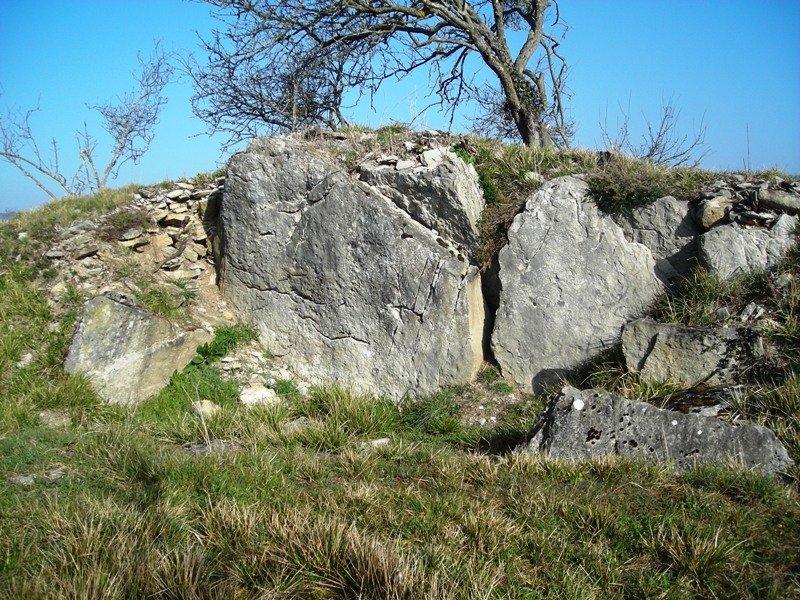 Gurpide hego trikuharria