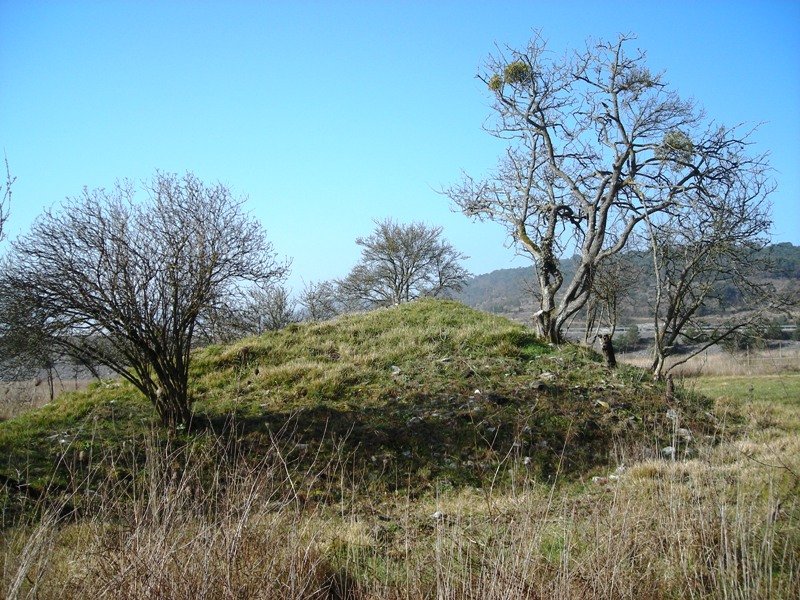 Gurpide hego trikuharria