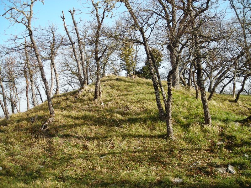 San Sebastian  hego  trikuharria