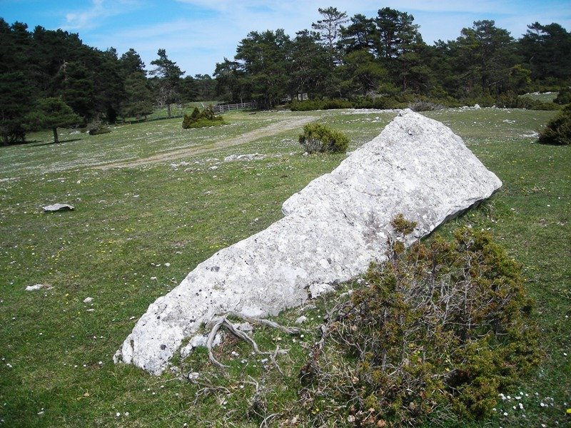 Otsaportillo 1 ipar zutarria