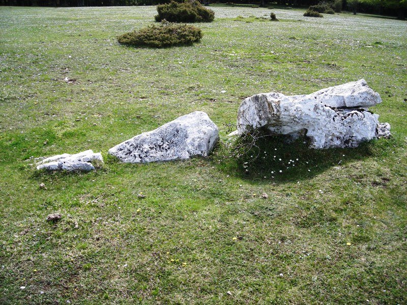 Otsaportillo  2 hego  zutarria