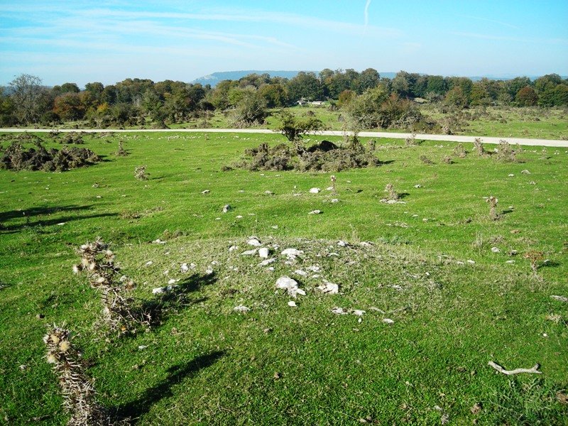 Rasos de Ezpola eremu tumularra