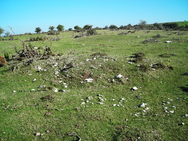 Balsas del Corral de Narciso eremu tumularra