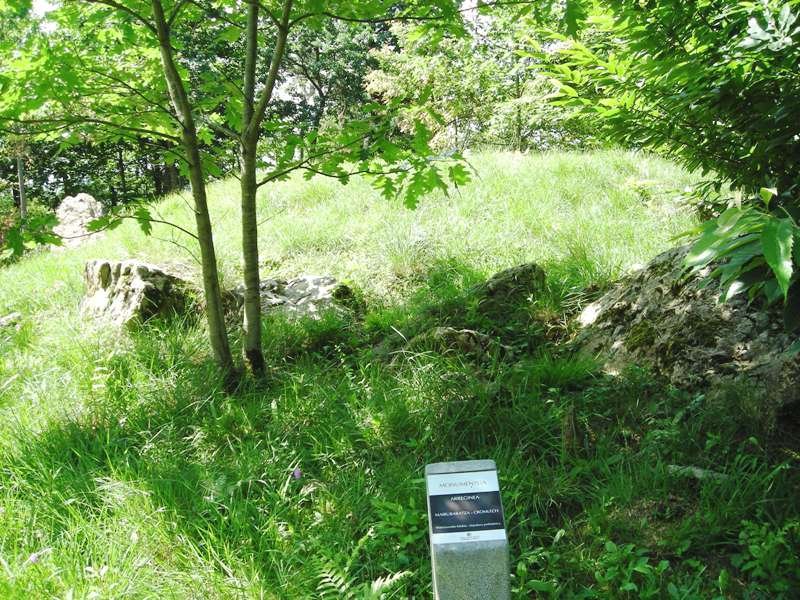 Arreginea harrespila