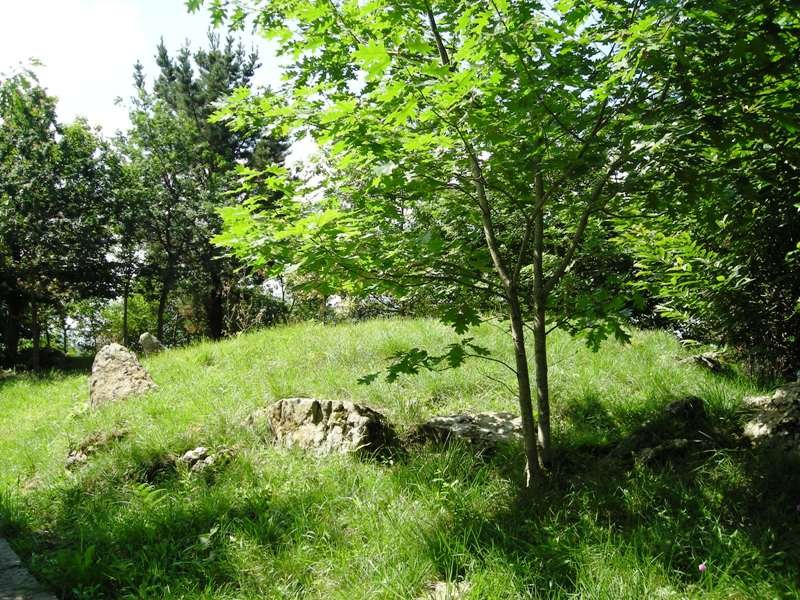 Arreginea harrespila