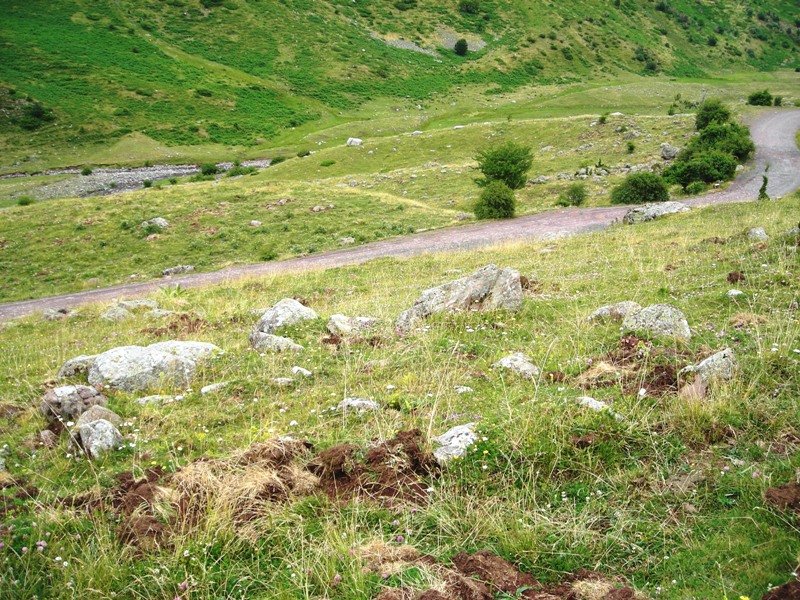 Barranco Campanil III harrespila