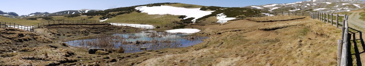 Udaberriaren hasieran