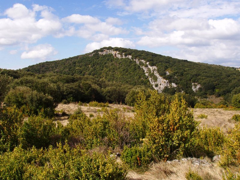 Boluntza-Petrina Peñaskatik 