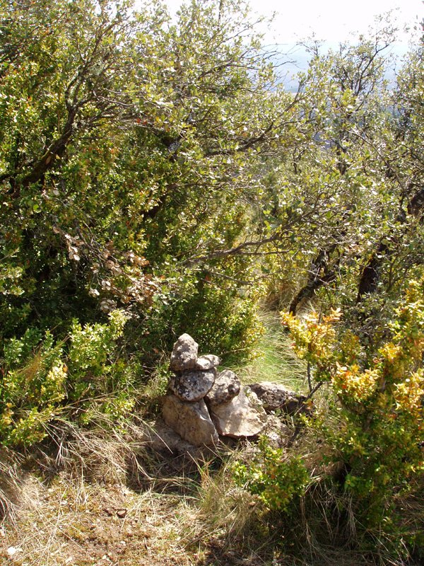 Boluntza-Petrinako gailurra