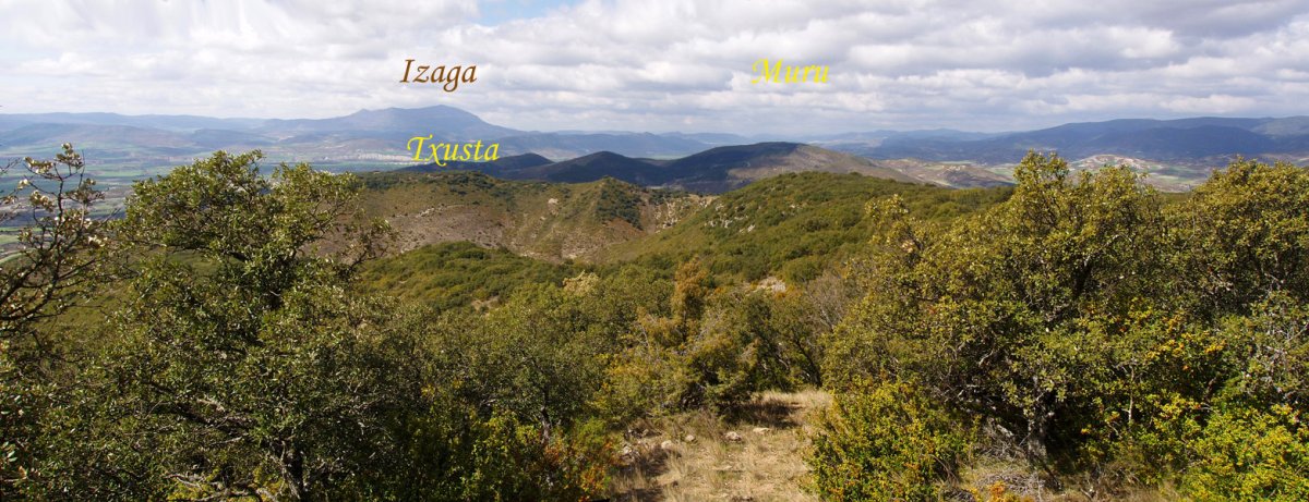 Boluntza-Petrinako gailurretik mendebalderantz