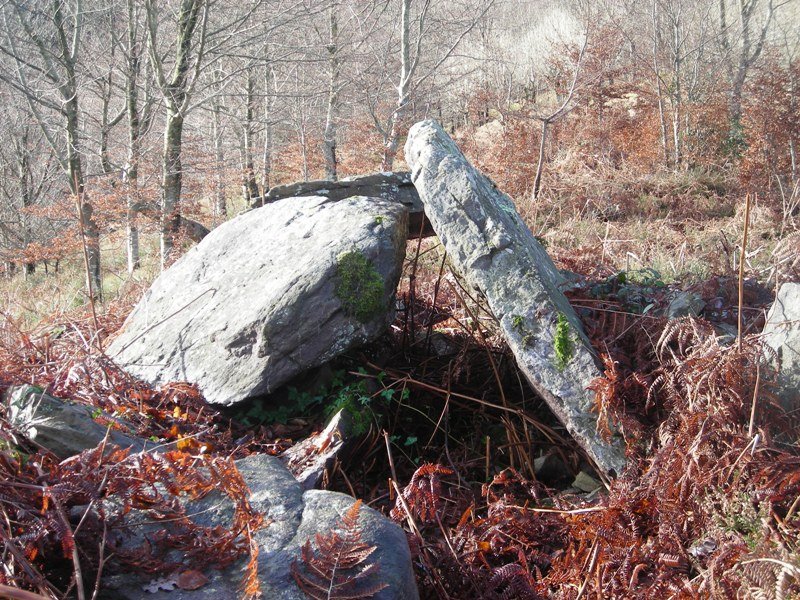 Erroia Gain trikuharria