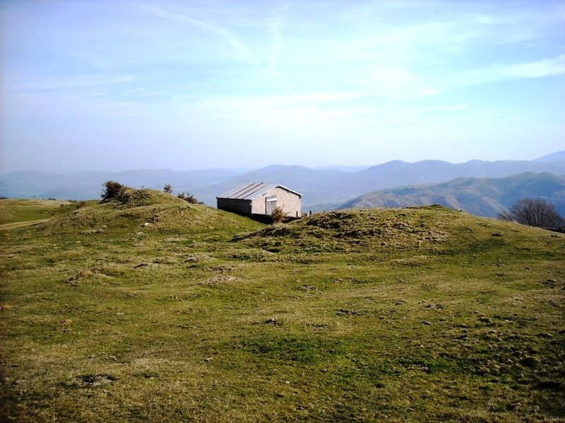 Orizun ipar etxola hondoak