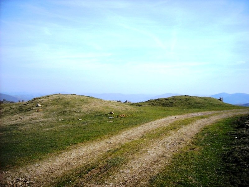 Orizun ipar etxola hondoak