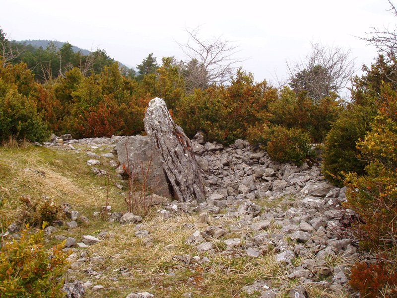 Legarozko trikuharria 