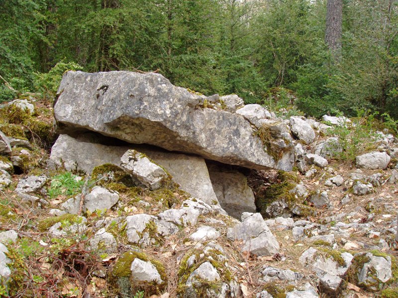 Turendoko trikuharria