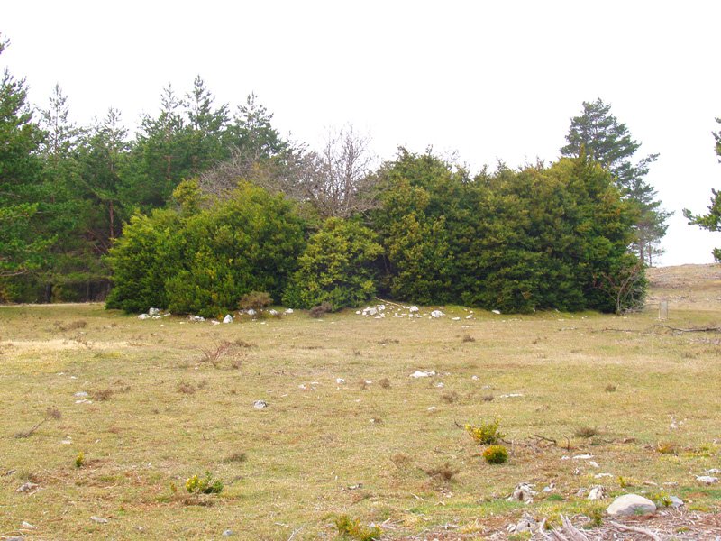 Balsa del Portillo de Ollate trikuharria inguratzen duten ezpelak