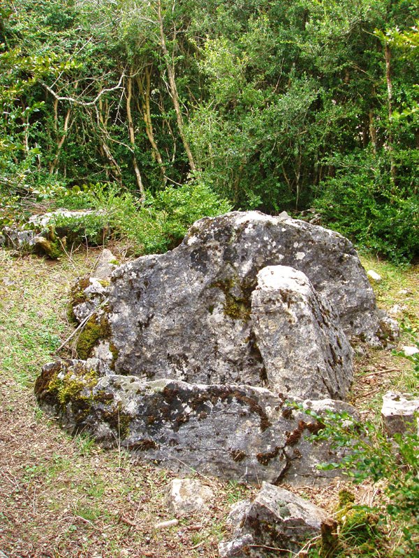 Balsa del Portillo de Ollate trikuharria