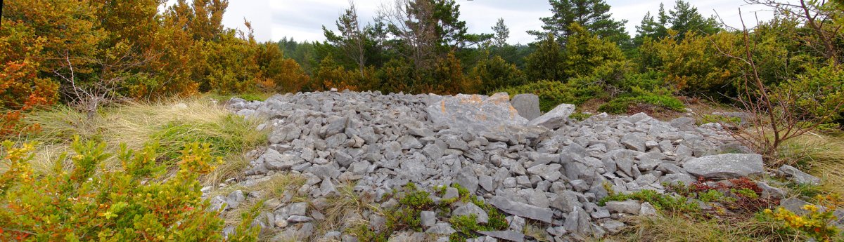 Puntallo de Capezas trikuharria