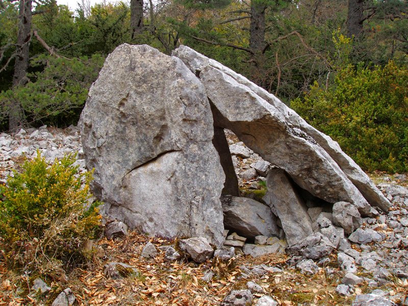 Claveritoko trikuharria