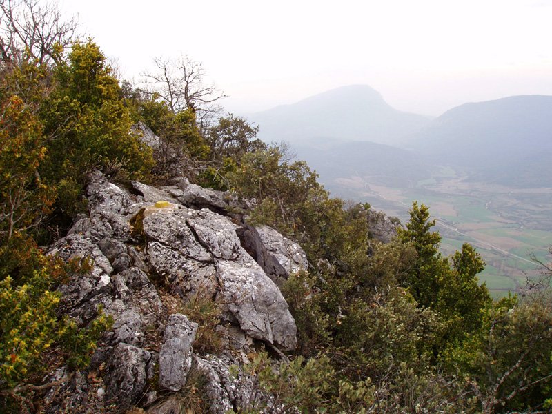 Leziñerako gailurra