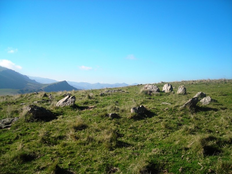 Apatesaro hego  harrespila