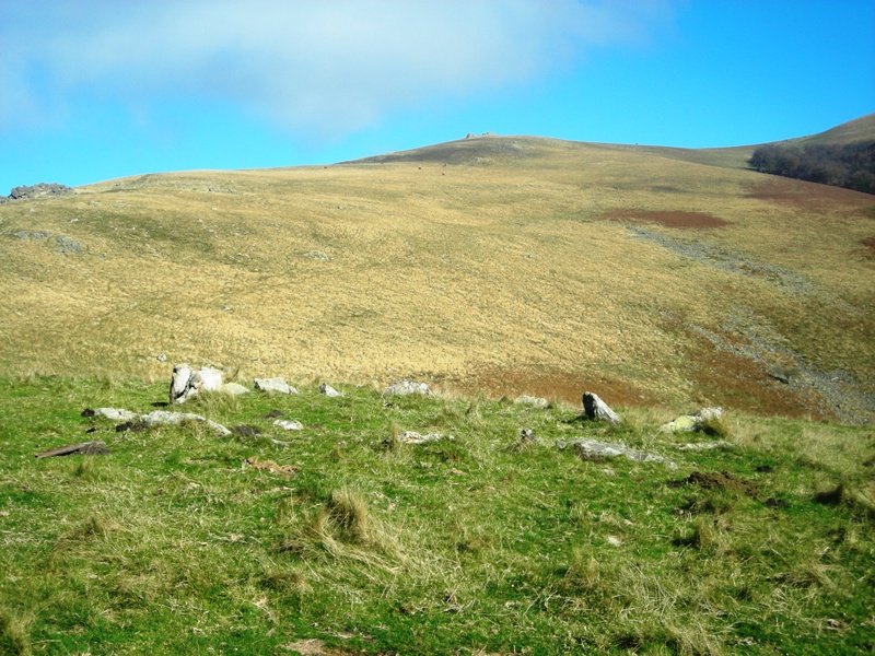 Apatesaro hego  harrespila