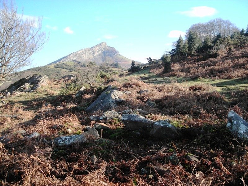 Larria II trikuharria