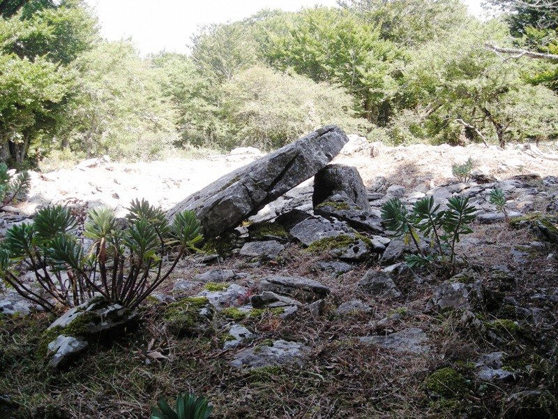 Trekua Arteta trikuharria