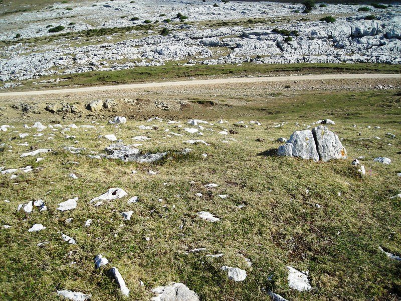 Sarasa Gañe trikuharria