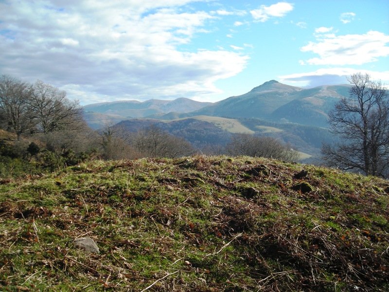 Antonen Borda tumulua