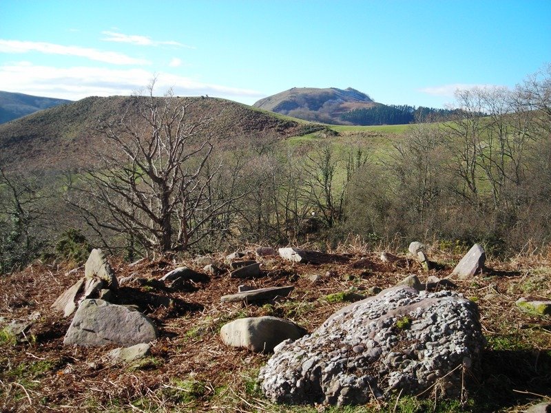 Antonen Borda harrespila