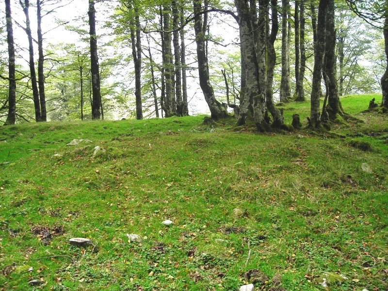 Arbilletako Lepoa tumulua