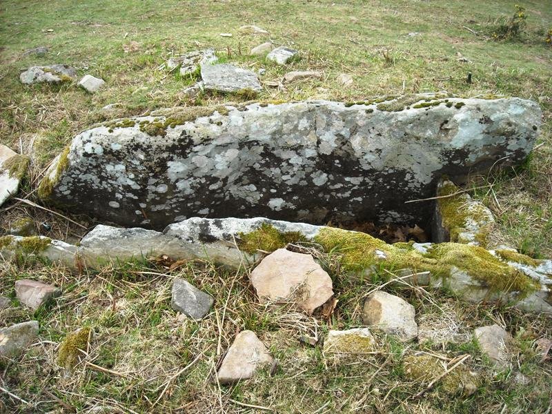 Zumaleku trikuharria