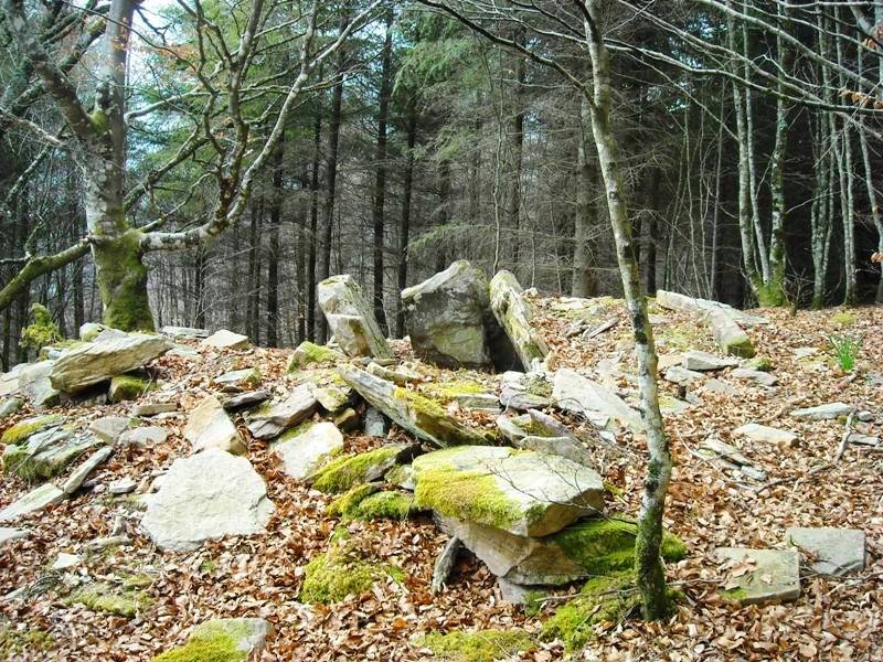 Urrutiña trikuharria