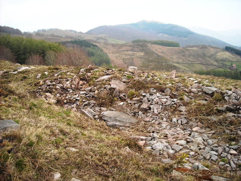 Latargi 3 trikuharria