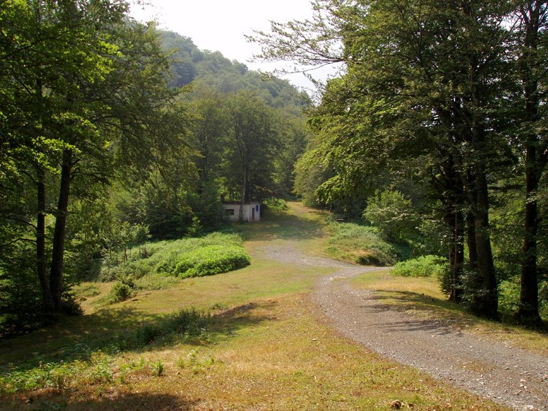 Isastiko lepoa eta ehiztarien etxola