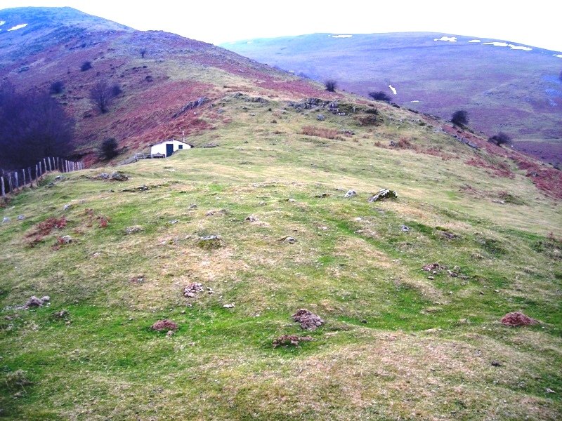 Elorrixaalea trikuharria