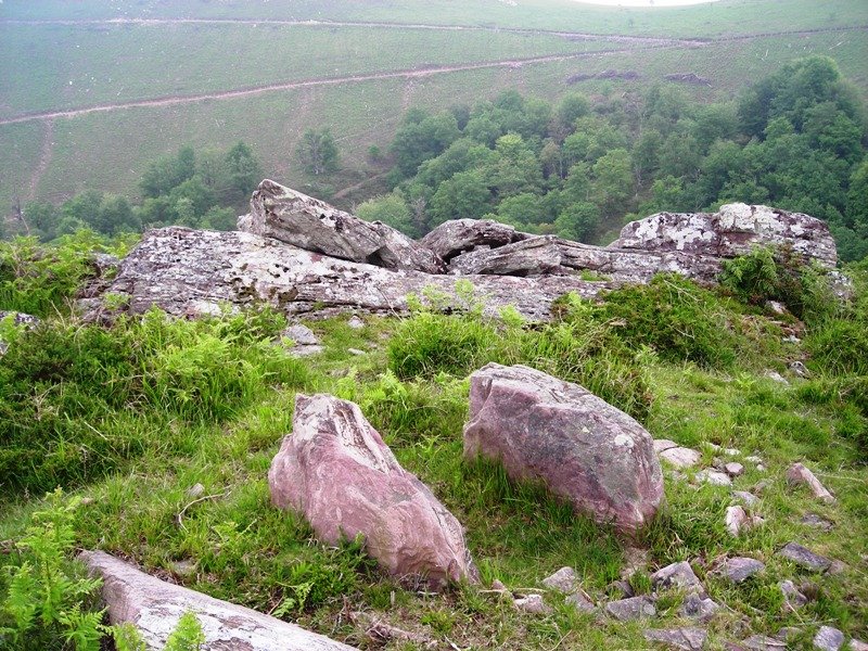 Orizki Gaña trikuharria