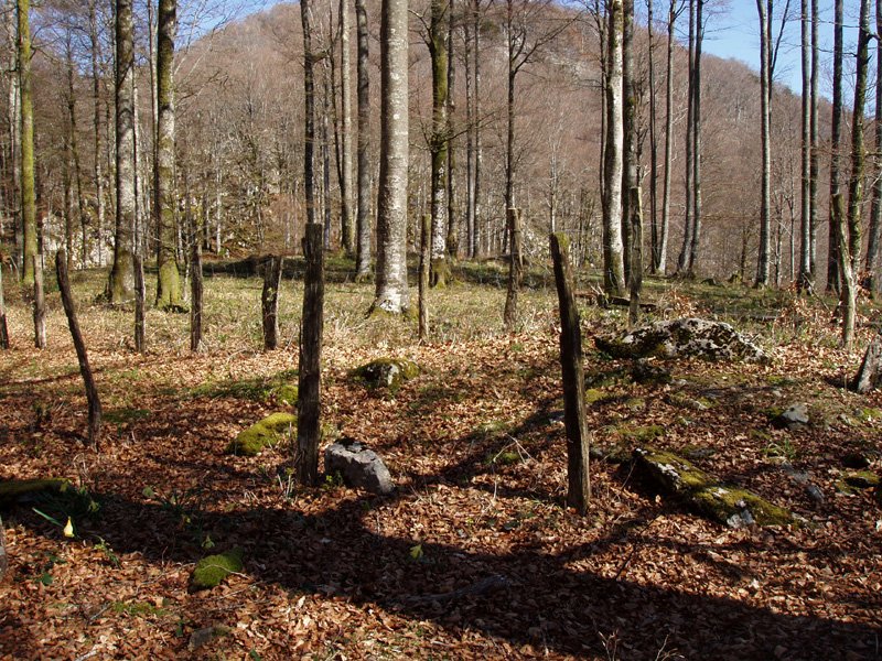 Pitxortzarko gaina 3