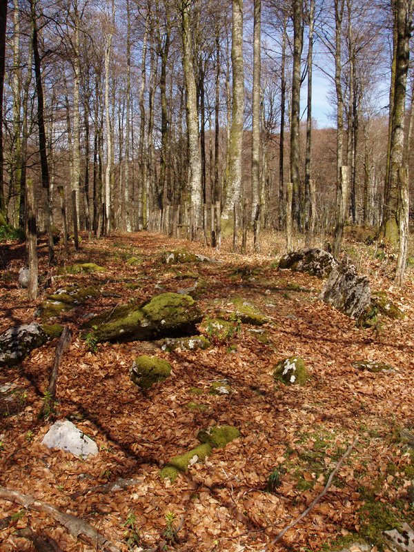 Pitxortzarko gaina 3