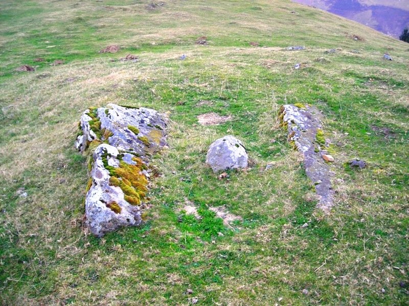 Elorrixaalea trikuharria