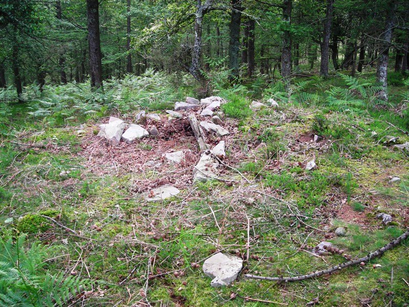 Irastre  trikuharria