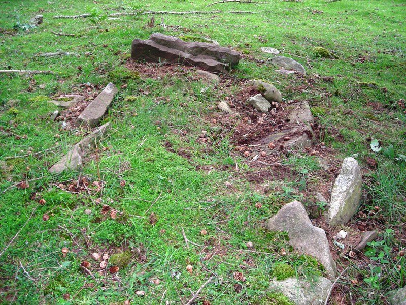 Aritzmendi trikuharria