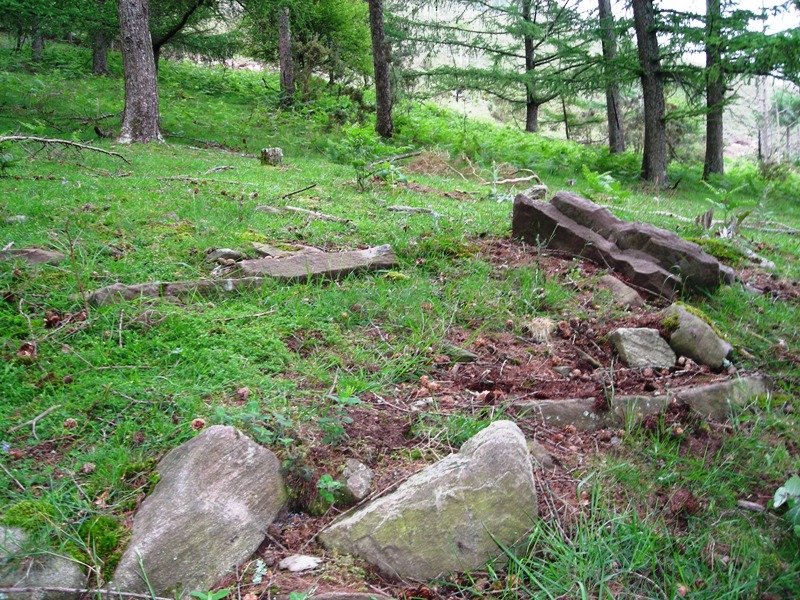 Aritzmendi trikuharria