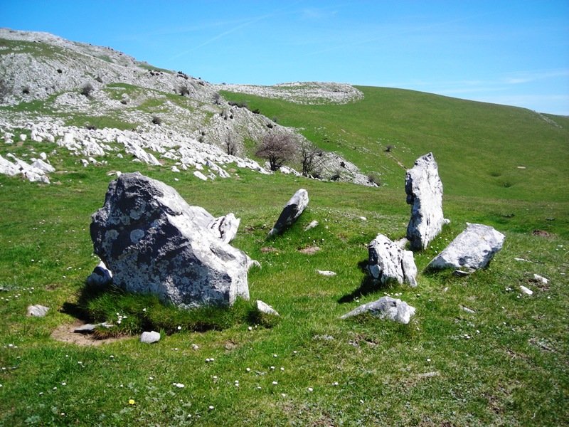 Uelogoena I  trikuharria