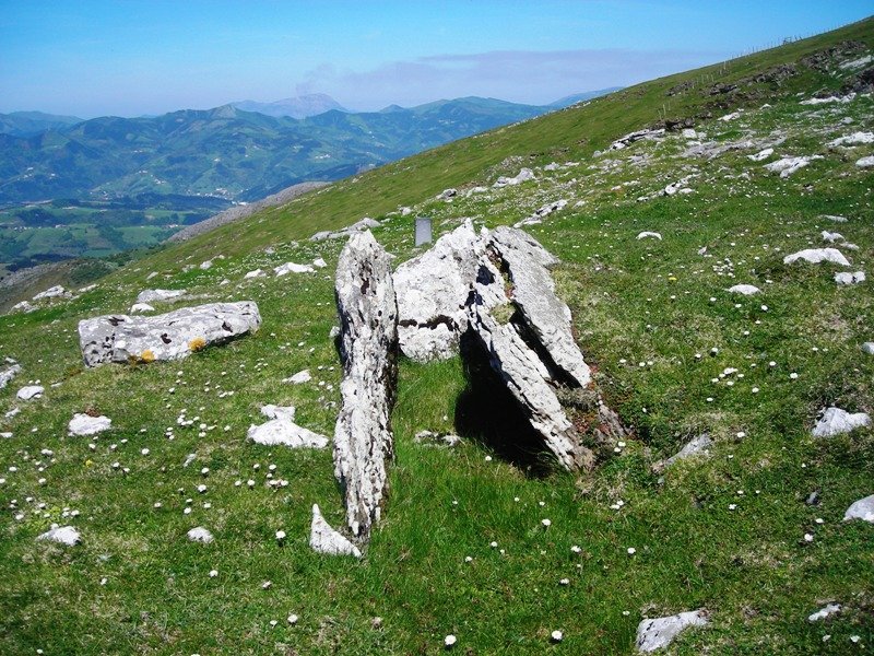 Aranzadi  trikuharria