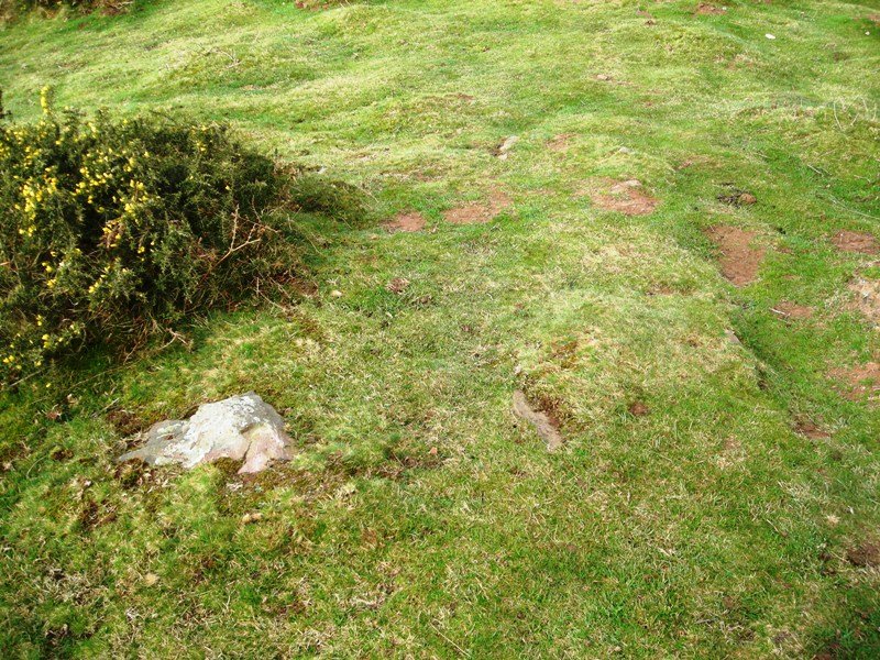 Boreiko Arri 2 harrespila